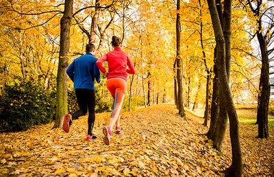 Fall Running Trail