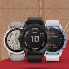 Garmin